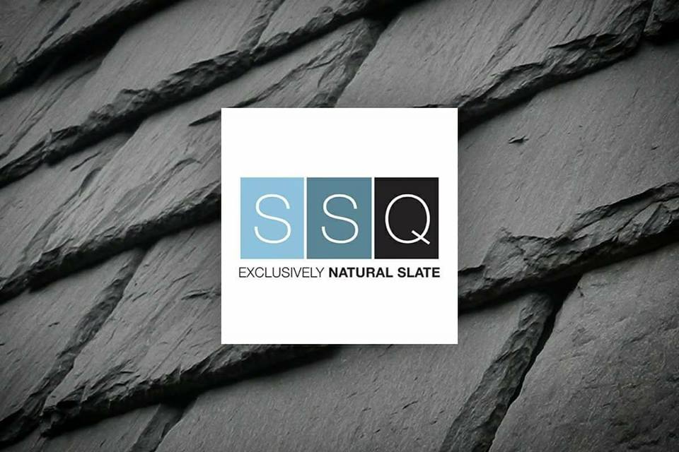 logo ant skaluno